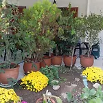 Akrata Golden House 3 Apartamento *