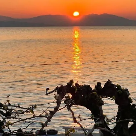 Akrata Golden House 3 Appartement *