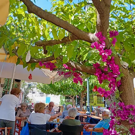 Akrata Golden House 3 Aigeira