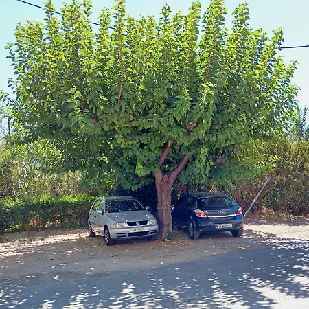 Akrata Golden House 3