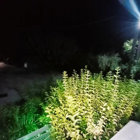 Akrata Golden House 3 *