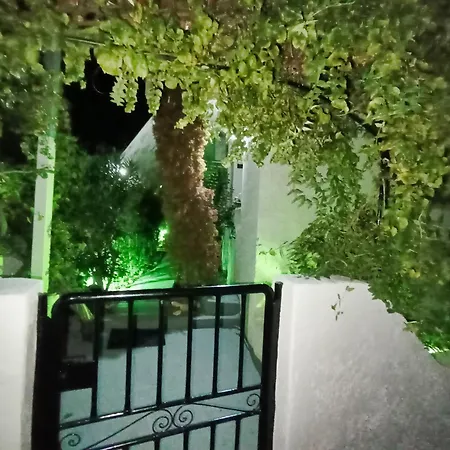 Akrata Golden House 3 *