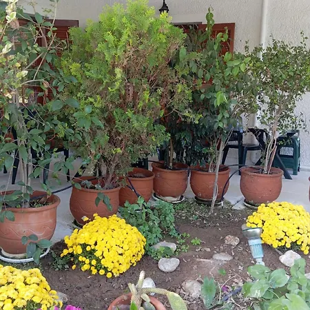 Akrata Golden House 3 Apartamento *