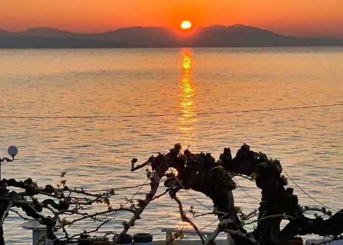 Akrata Golden House 3 Apartamento *