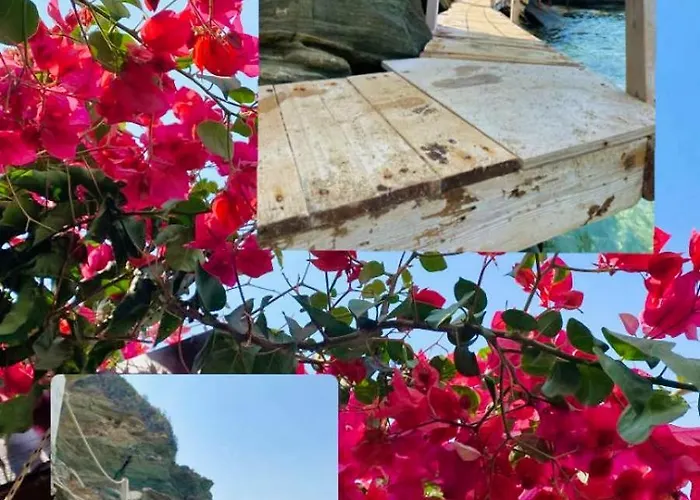 Akrata Golden House 3 Apartamento Aigeira