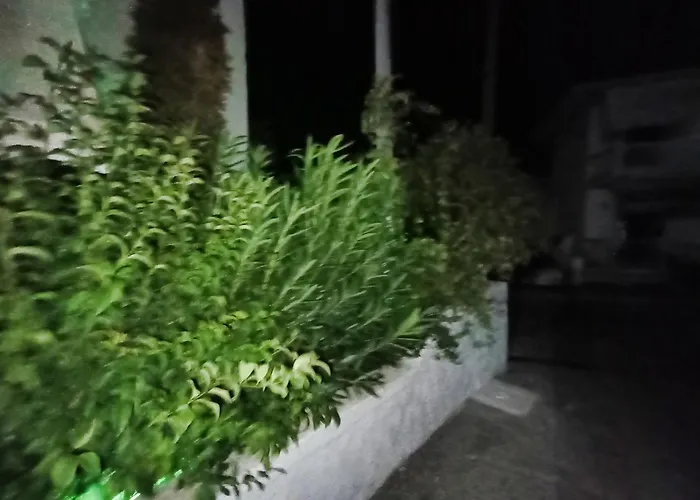 Akrata Golden House 3 Apartamento *